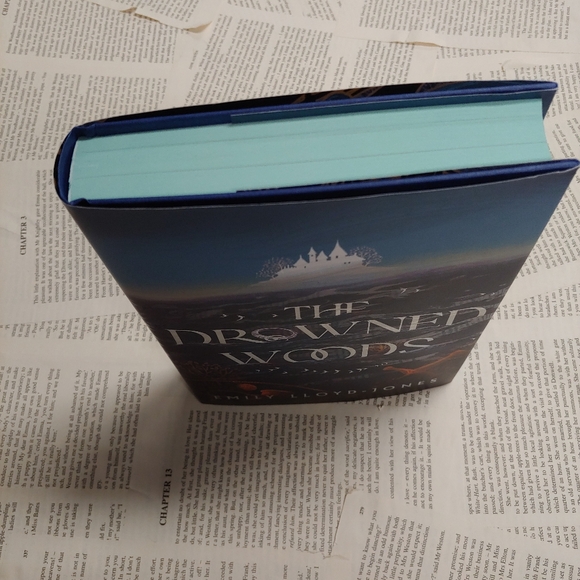 Illumicrate Special Edition of The Drowned Woods by Emily Llyod-Jones - Picture 8 of 8